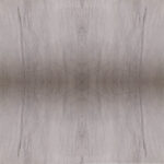C 305 - Image 2
