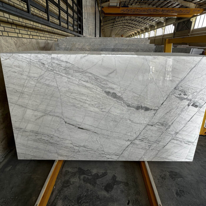 C 305 - Image 3