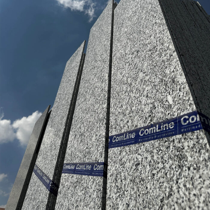 G 101 - Image 4