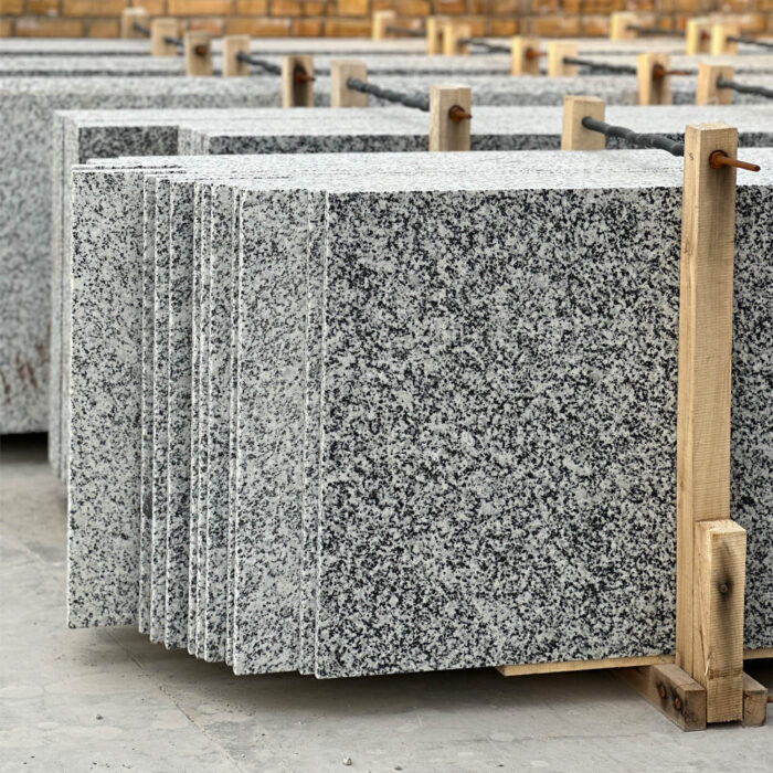 G 101 - Image 2