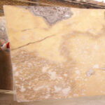 Organic - Image 3