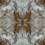 Tree - Image 2