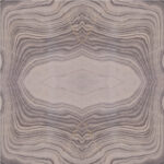 C 301 - Image 2