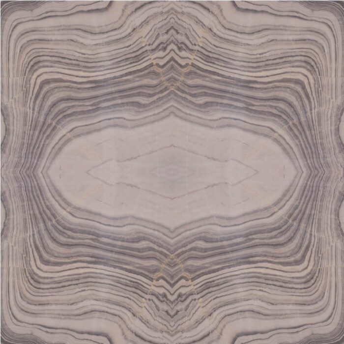 C 301 - Image 2