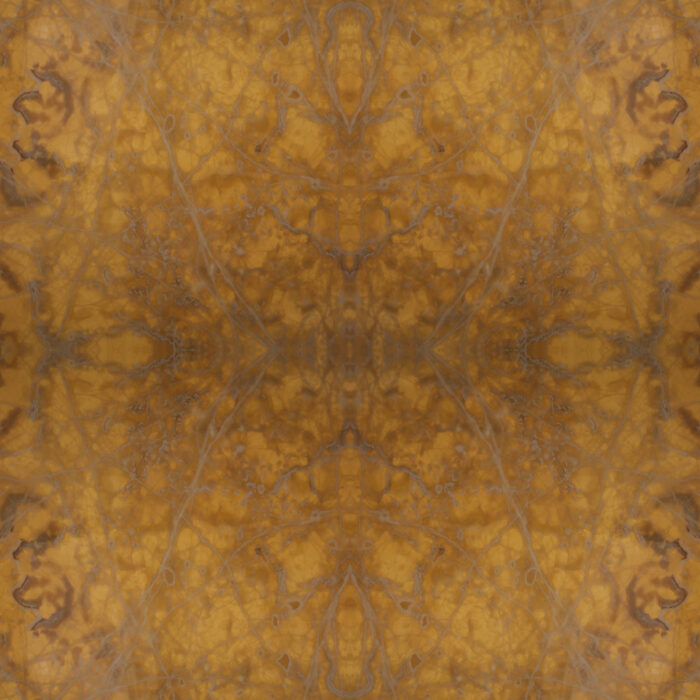 Yellow - Image 2