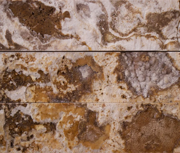 Guillotine - Image 23